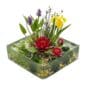 Compleet Vijverpakket Rood 25-90L