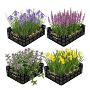 Moerasplanten Vijverkratten 4 stuks
