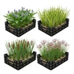 Waterplanten Vijverkratten 4 stuks