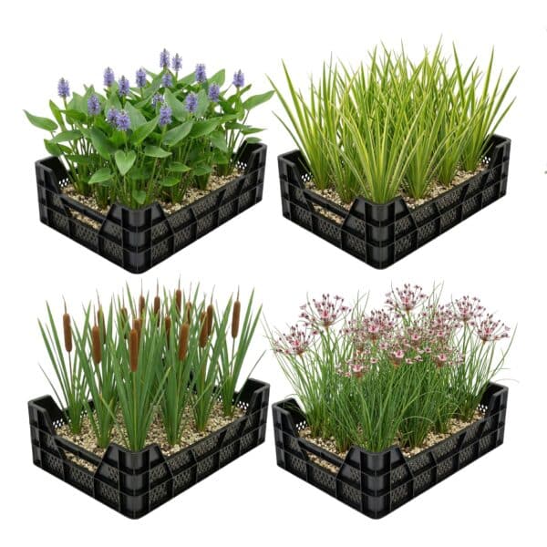 Waterplanten Vijverkratten 4 stuks Waterplanten Vijverkratten 4 stuks
