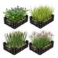 Waterplanten Vijverkratten 4 stuks