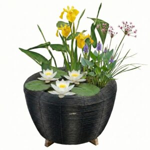 Mini Vijver met Waterval Antraciet Wit
