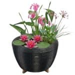 Mini Vijver met Waterval Antraciet Roze Mini Vijver met Waterval Antraciet Roze