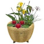 Mini Vijver met Waterval Beige Rood