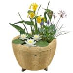 Mini Vijver met Waterval Beige Wit
