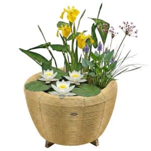 Mini Vijver met Waterval Beige Wit