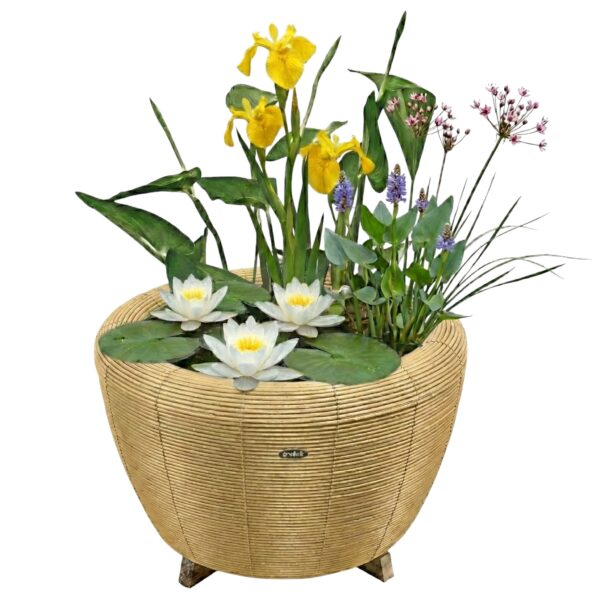 Mini Vijver met Waterval Beige Wit Mini Vijver met Waterval Beige Wit