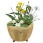 Mini Vijver met Waterval Beige Wit