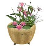 Mini Vijver met Waterval Beige Roze