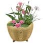 Mini Vijver met Waterval Beige Roze
