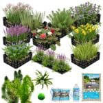 Compleet Vijverpakket Multi 10.000-12.500L