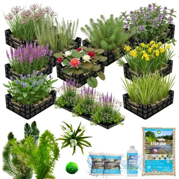 Compleet Vijverpakket Multi 10.000-12.500L