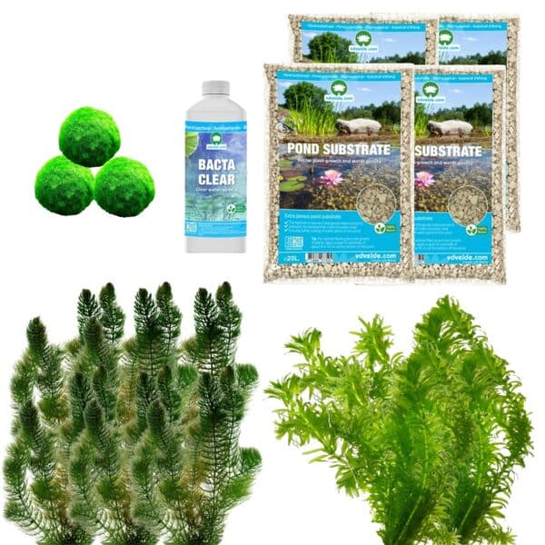 Spiegelvijver Onderwaterplanten 3.500-6.000L Spiegelvijver Onderwaterplanten 3.500-6.000L
