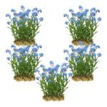 Moerasvergeet mij nietje 100 planten