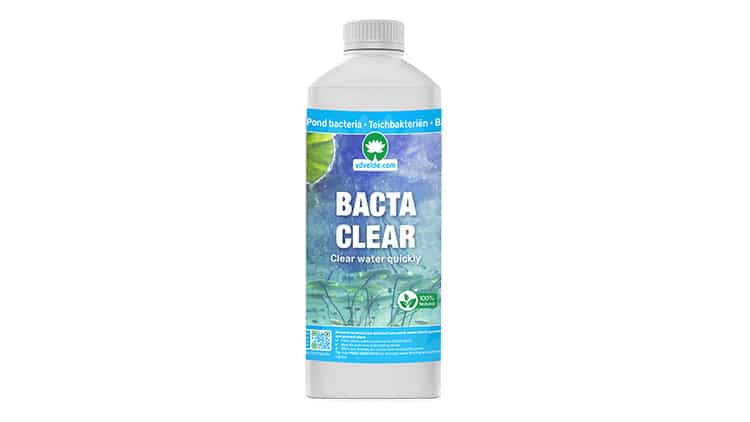 bacta-clear-pond-clean Bacta Clean