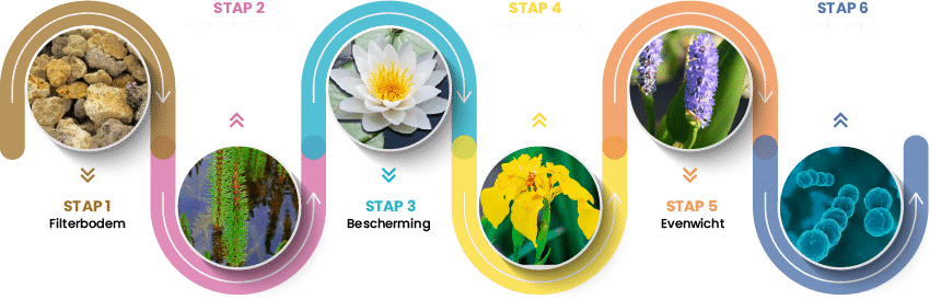 Stappenplan Helder water