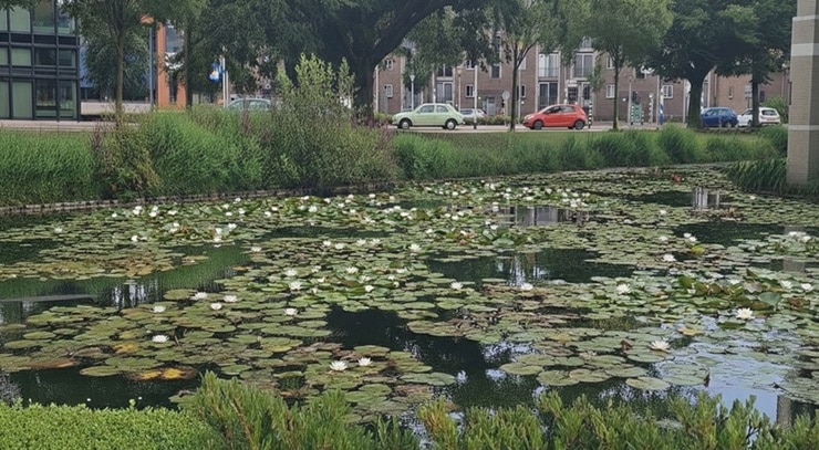 Gemeente project2 Gemeente project2