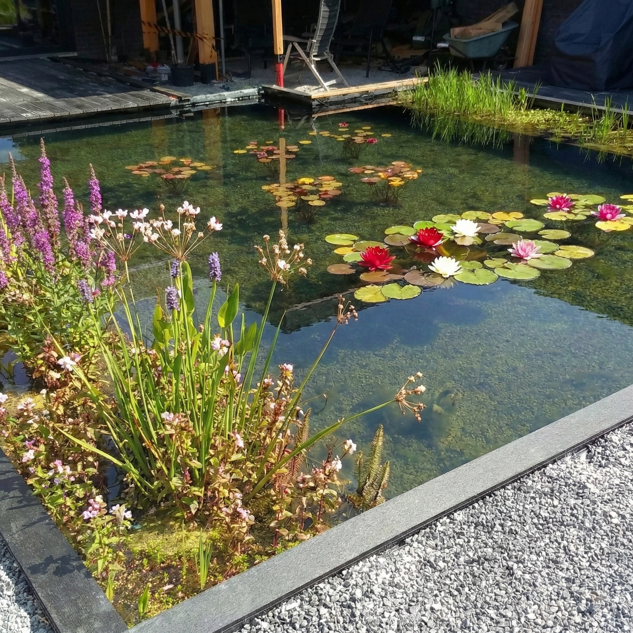 Bade-Teich nach