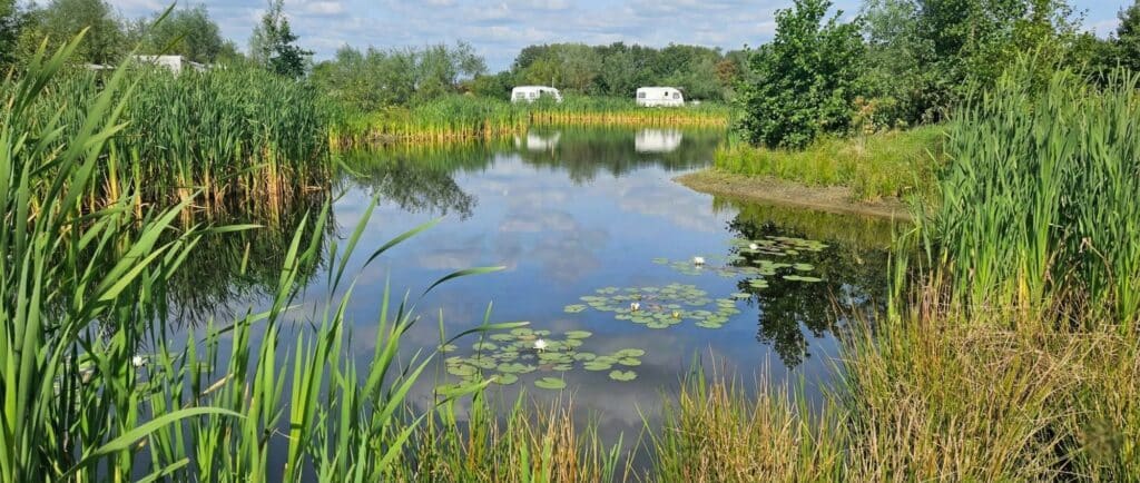 Natuurvijver Natuurvijver