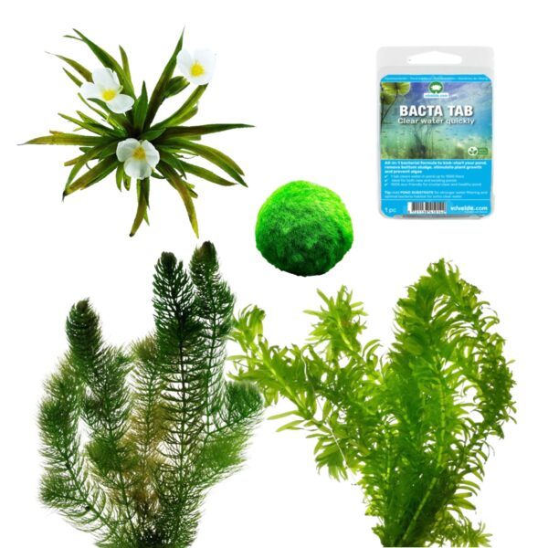 Algen Bestrijden Pakket 500-1.250L Algen Bestrijden Pakket 500-1.250L